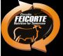 Circuito Feicorte NFT